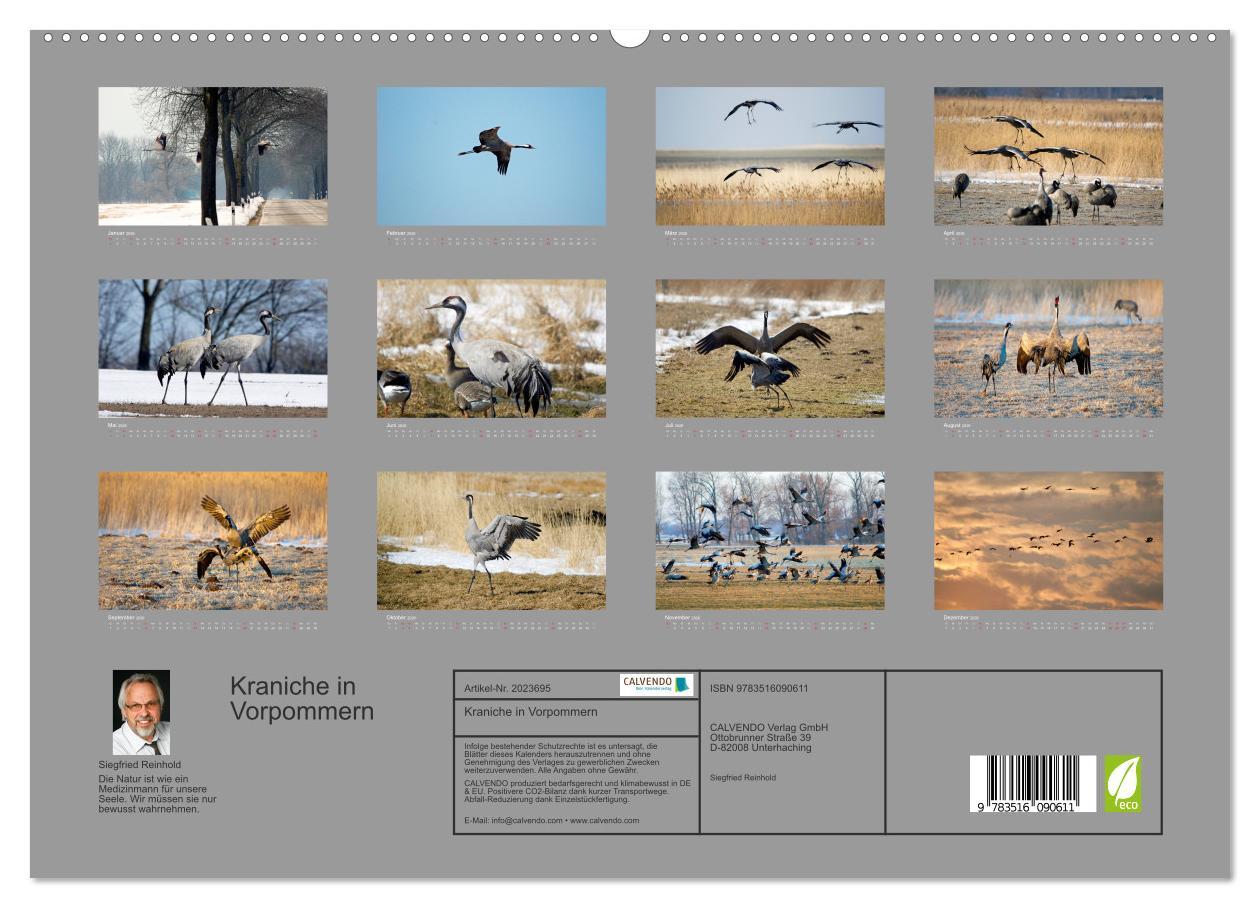 Beispielinhalt (Bild) Kraniche in Vorpommern (hochwertiger Premium Wandkalender 2026 DIN A2 quer), Kunstdruck in Hochglanz
