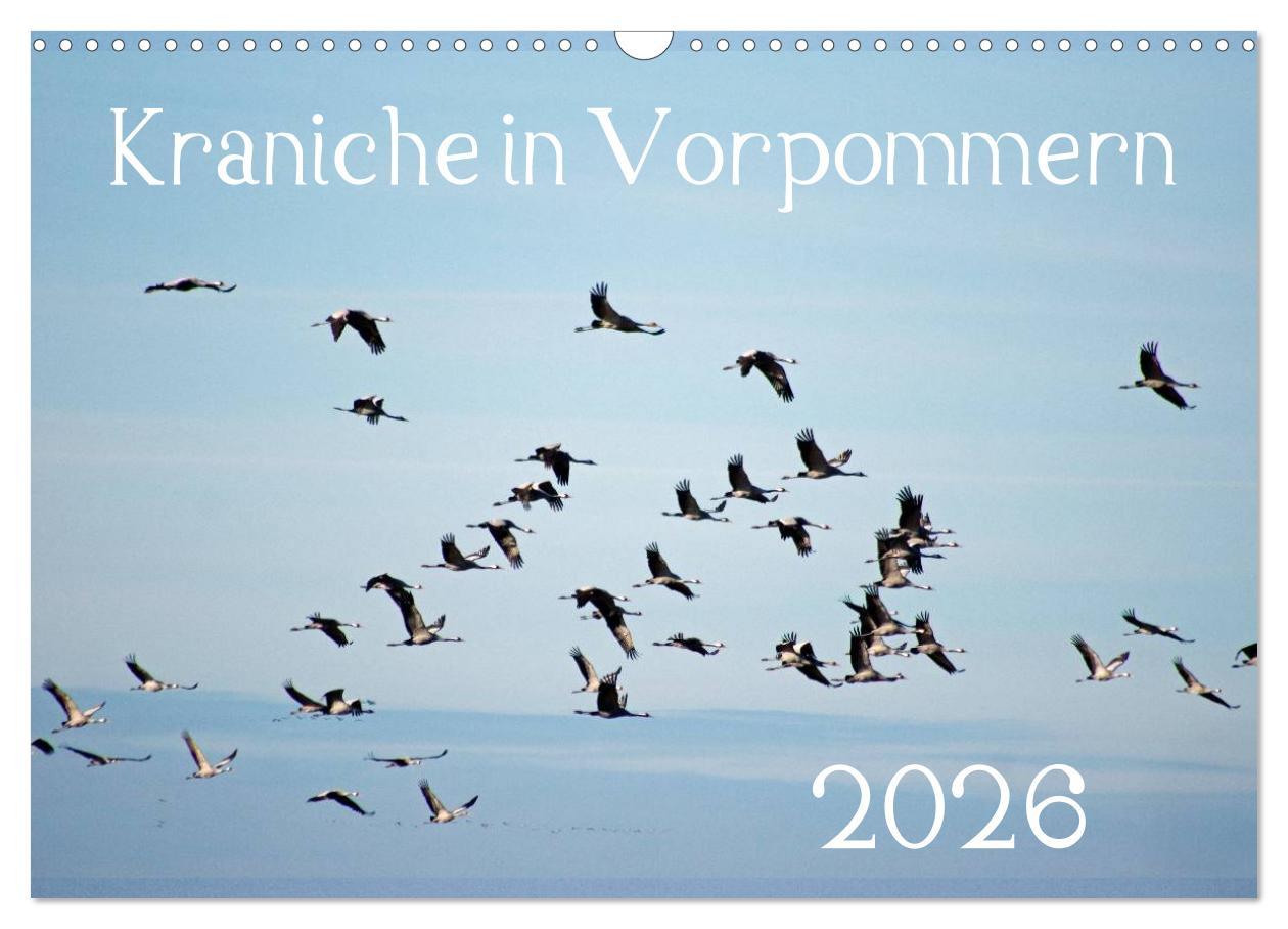 Vorderes Coverbild Kraniche in Vorpommern (Wandkalender 2026 DIN A3 quer), CALVENDO Monatskalender