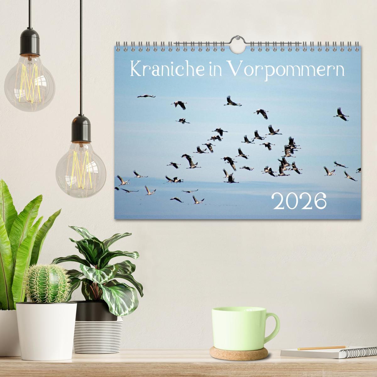 Beispielinhalt (Bild) Kraniche in Vorpommern (Wandkalender 2026 DIN A4 quer), CALVENDO Monatskalender