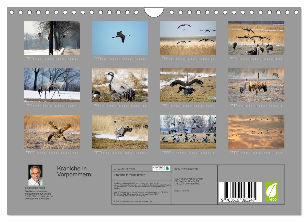 Beispielinhalt (Bild) Kraniche in Vorpommern (Wandkalender 2026 DIN A4 quer), CALVENDO Monatskalender