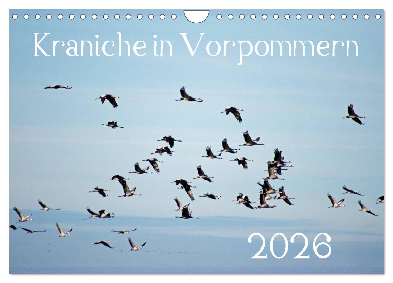 Vorderes Coverbild Kraniche in Vorpommern (Wandkalender 2026 DIN A4 quer), CALVENDO Monatskalender