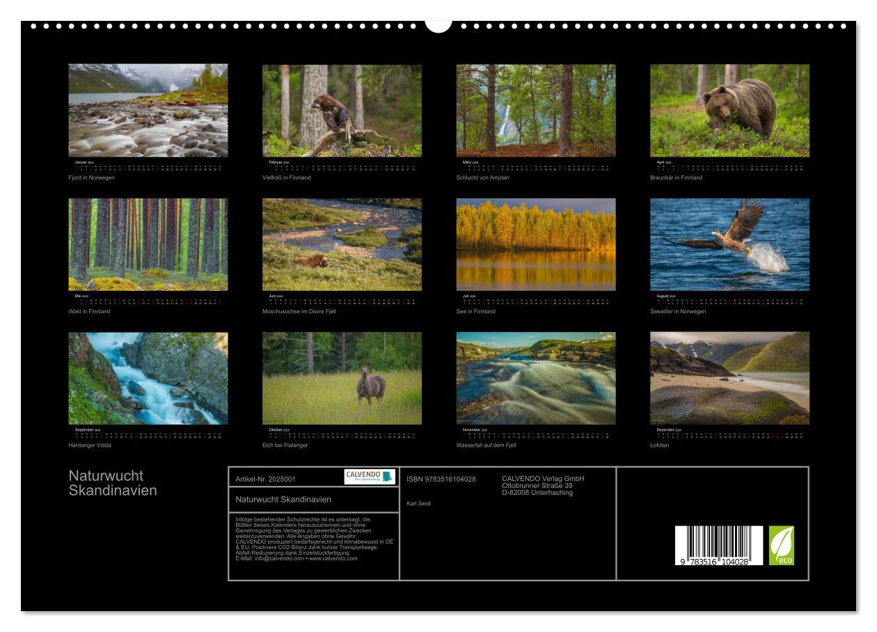 Beispielinhalt (Bild) Naturwucht Skandinavien (hochwertiger Premium Wandkalender 2026 DIN A2 quer), Kunstdruck in Hochglanz