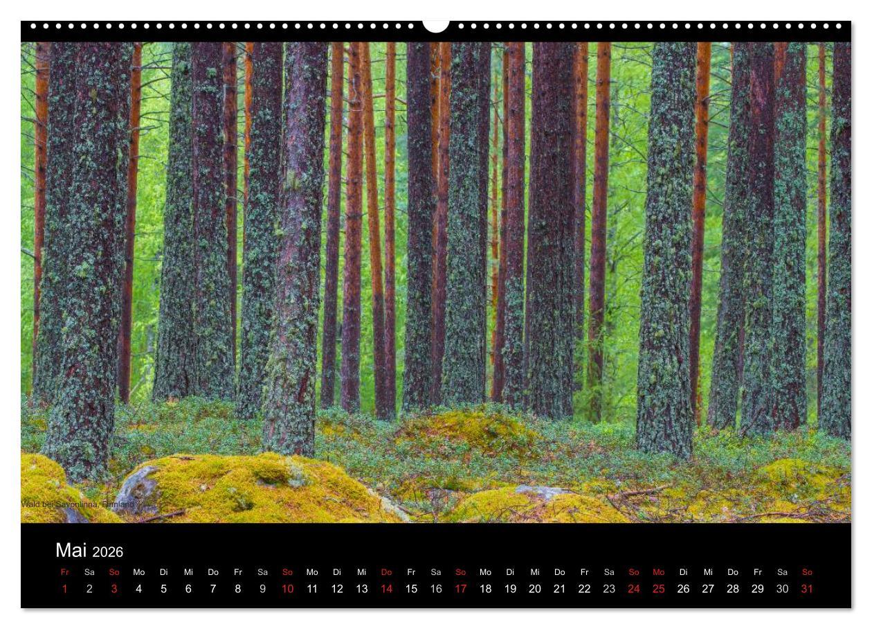 Beispielinhalt (Bild) Naturwucht Skandinavien (hochwertiger Premium Wandkalender 2026 DIN A2 quer), Kunstdruck in Hochglanz