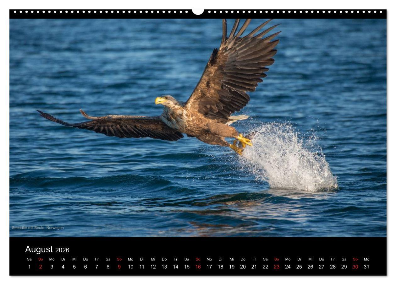 Beispielinhalt (Bild) Naturwucht Skandinavien (hochwertiger Premium Wandkalender 2026 DIN A2 quer), Kunstdruck in Hochglanz