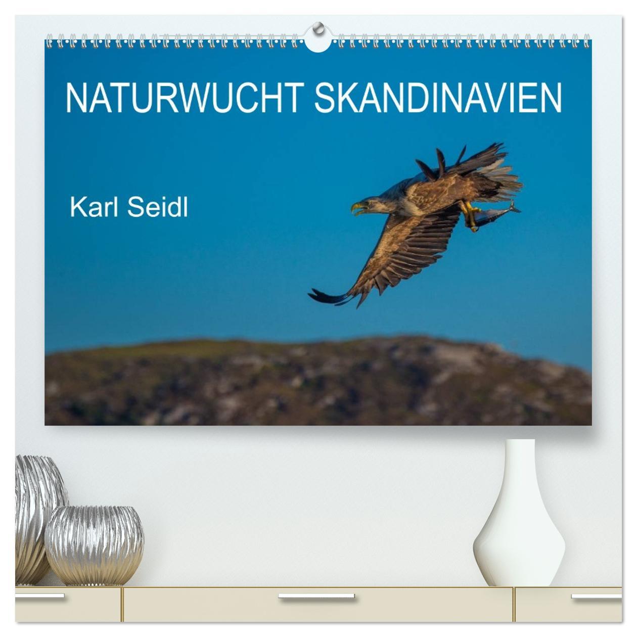 Vorderes Coverbild Naturwucht Skandinavien (hochwertiger Premium Wandkalender 2026 DIN A2 quer), Kunstdruck in Hochglanz