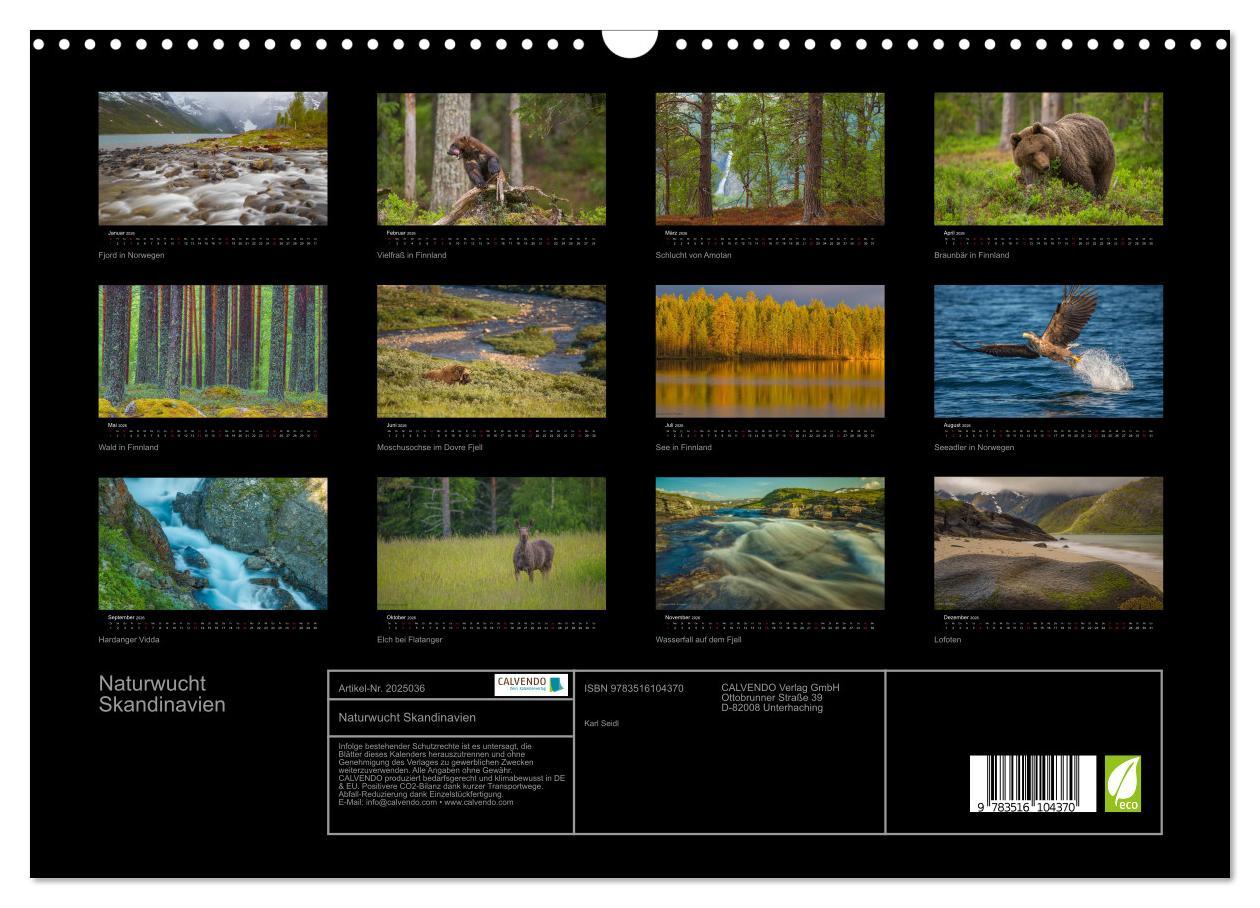 Beispielinhalt (Bild) Naturwucht Skandinavien (Wandkalender 2026 DIN A3 quer), CALVENDO Monatskalender