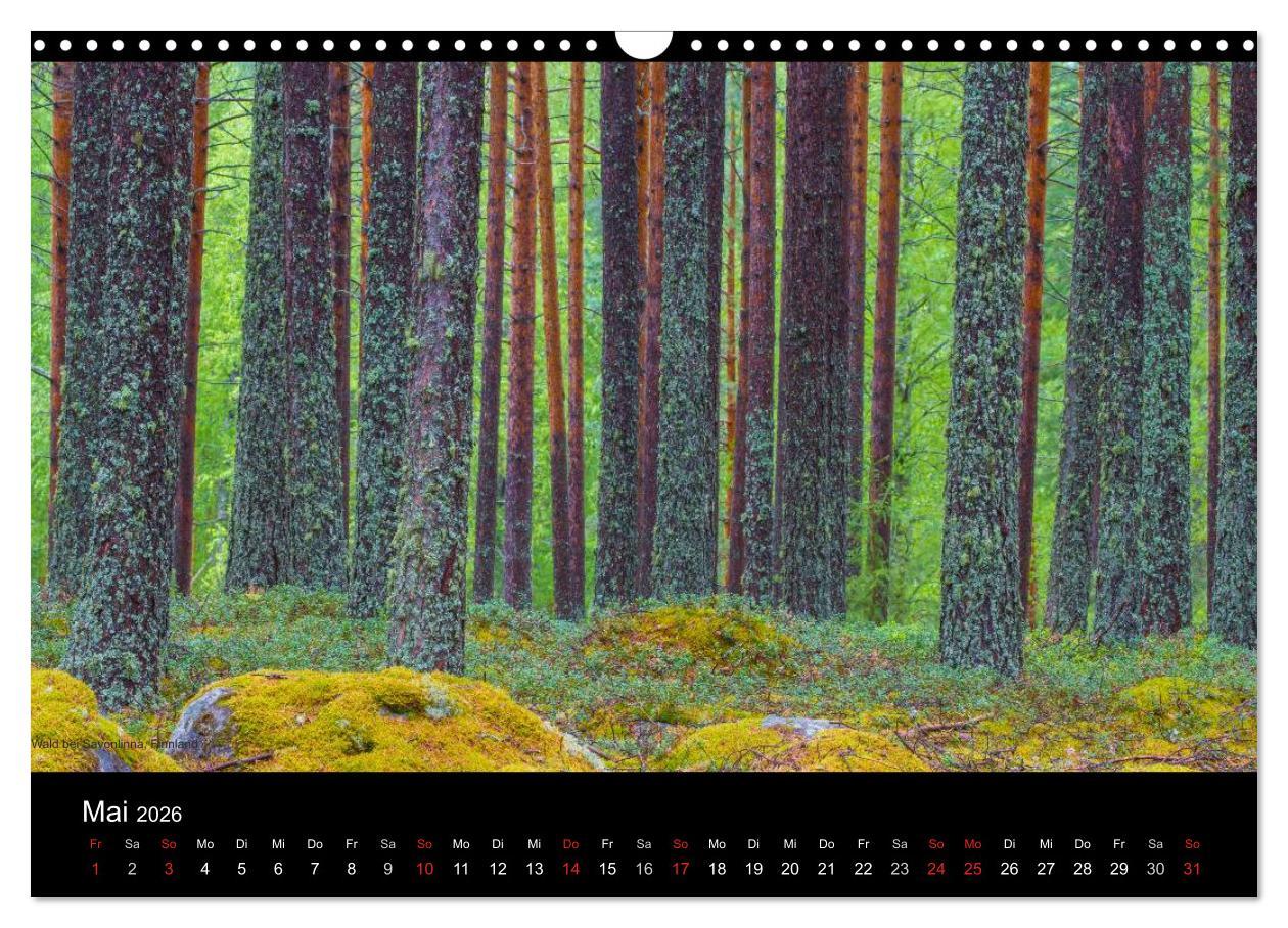 Beispielinhalt (Bild) Naturwucht Skandinavien (Wandkalender 2026 DIN A3 quer), CALVENDO Monatskalender