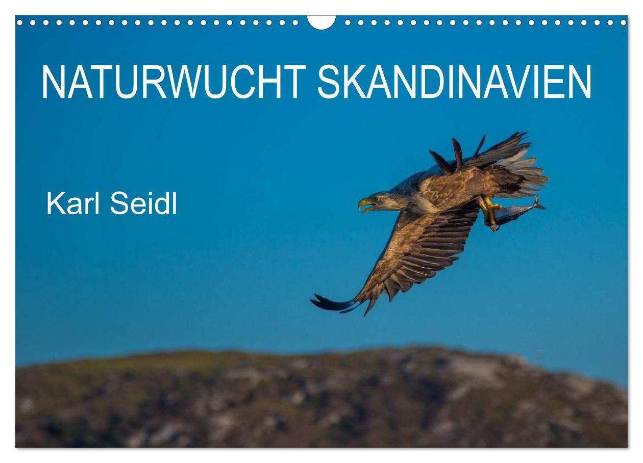 Vorderes Coverbild Naturwucht Skandinavien (Wandkalender 2026 DIN A3 quer), CALVENDO Monatskalender