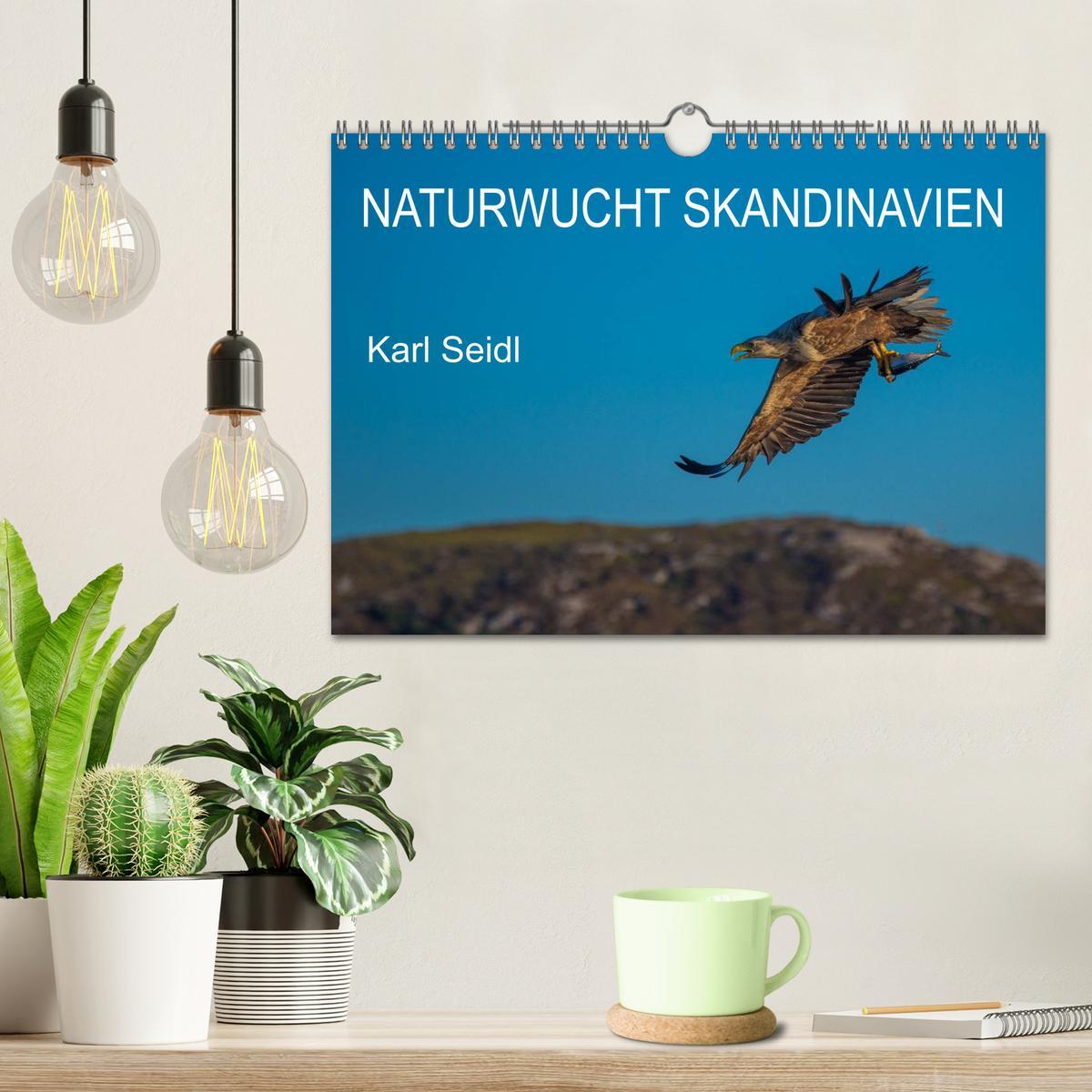 Beispielinhalt (Bild) Naturwucht Skandinavien (Wandkalender 2026 DIN A4 quer), CALVENDO Monatskalender