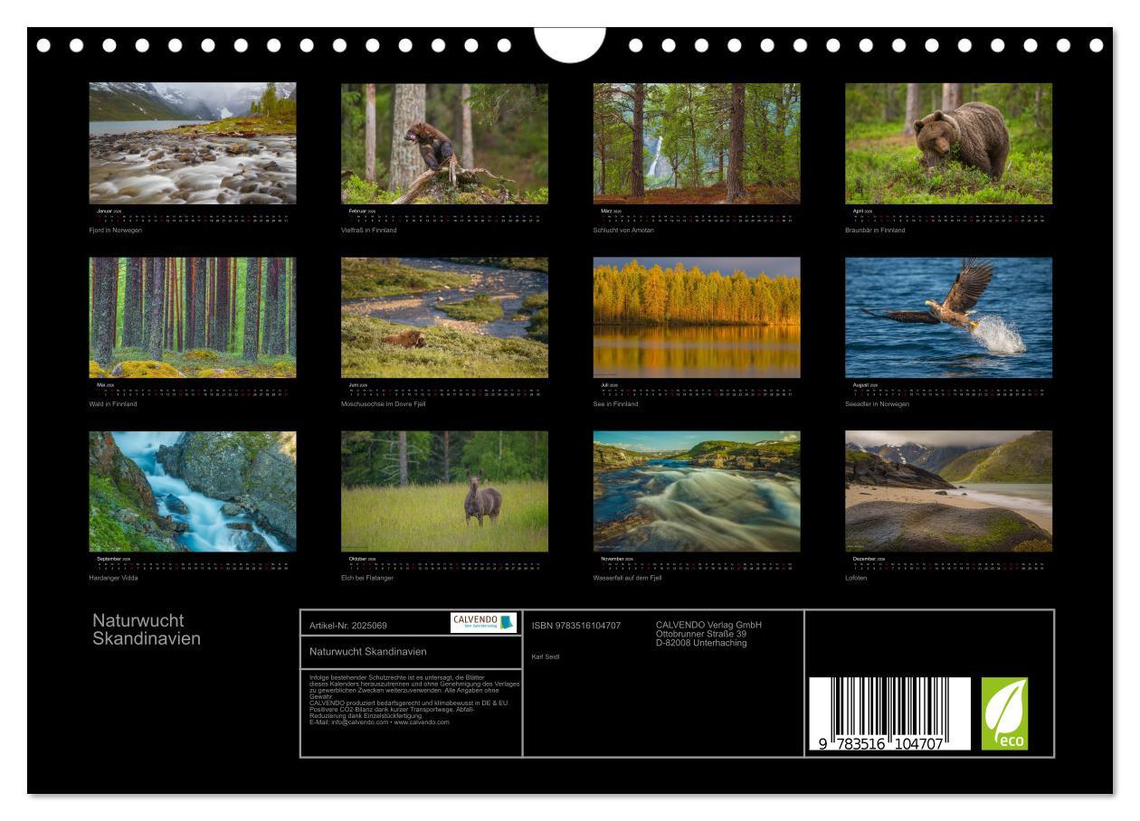 Beispielinhalt (Bild) Naturwucht Skandinavien (Wandkalender 2026 DIN A4 quer), CALVENDO Monatskalender