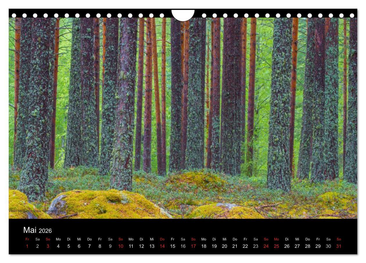 Beispielinhalt (Bild) Naturwucht Skandinavien (Wandkalender 2026 DIN A4 quer), CALVENDO Monatskalender