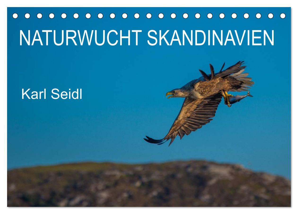 Vorderes Coverbild Naturwucht Skandinavien (Tischkalender 2026 DIN A5 quer), CALVENDO Monatskalender