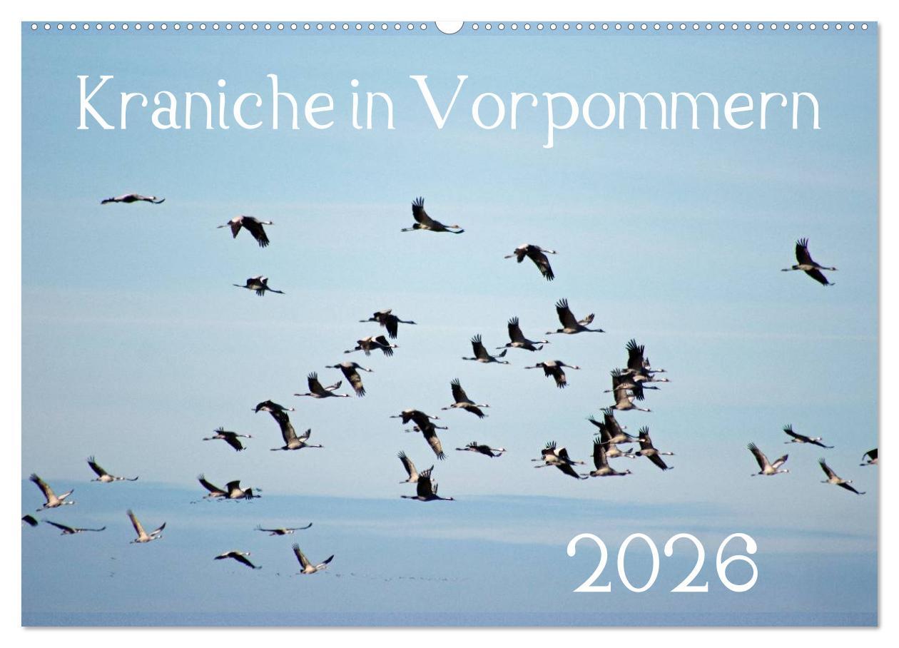 Vorderes Coverbild Kraniche in Vorpommern (Wandkalender 2026 DIN A2 quer), CALVENDO Monatskalender