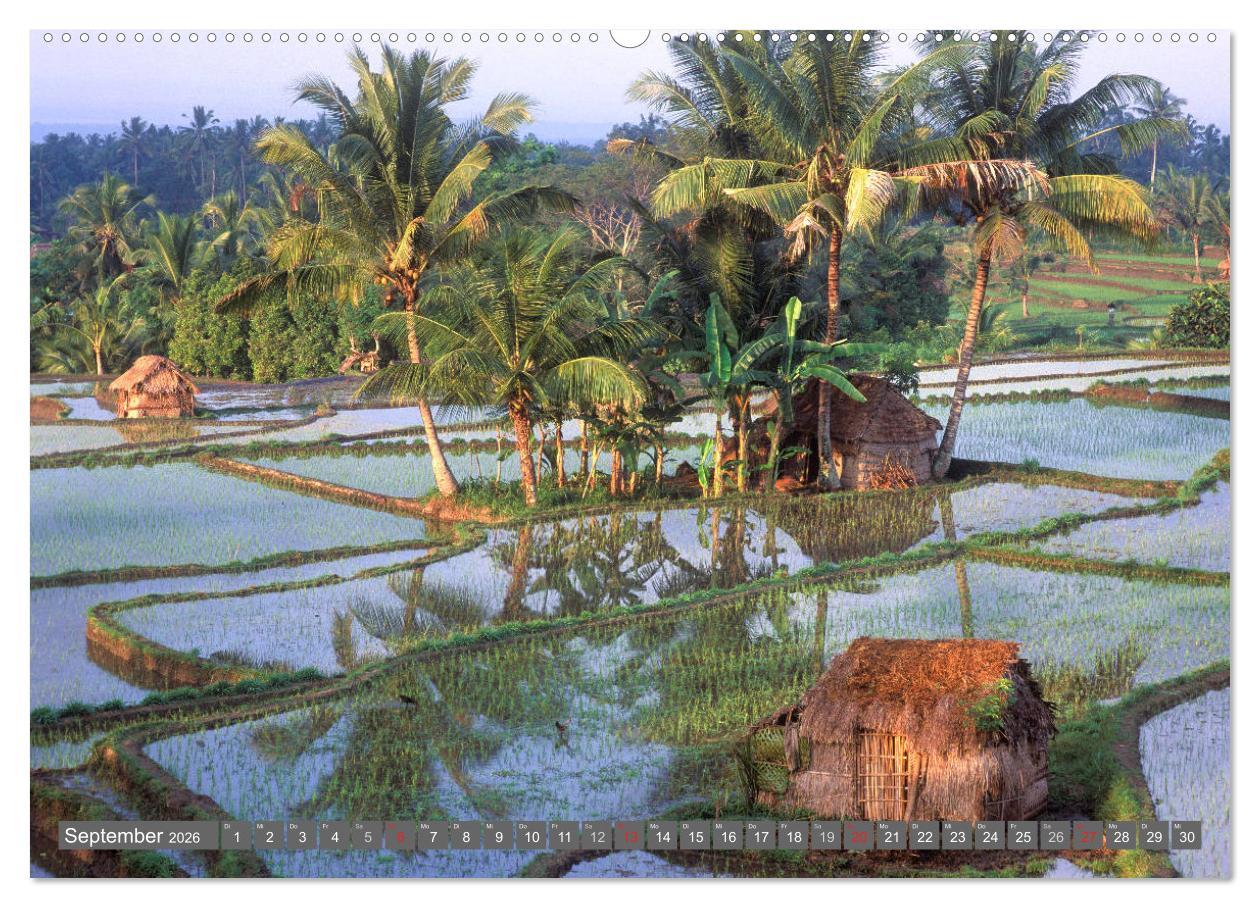 Beispielinhalt (Bild) Peter Fischer - Bali 2026 (hochwertiger Premium Wandkalender 2026 DIN A2 quer), Kunstdruck in Hochglanz