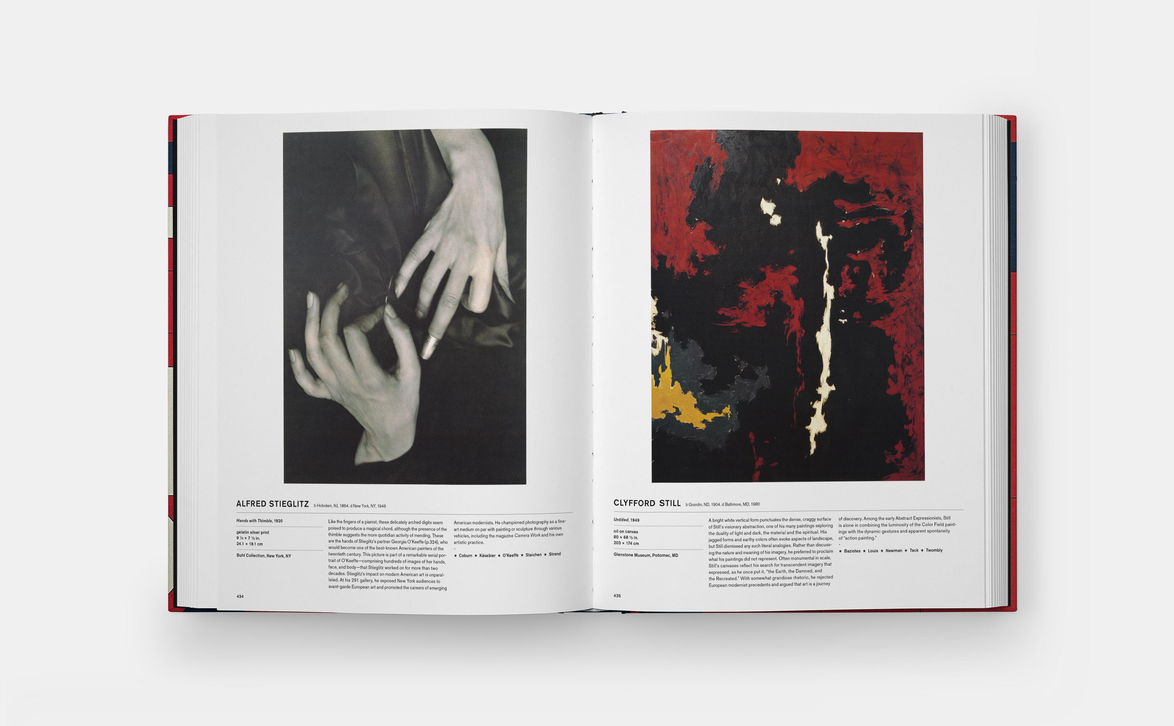 Beispielinhalt (Bild) The American Art Book (2025)