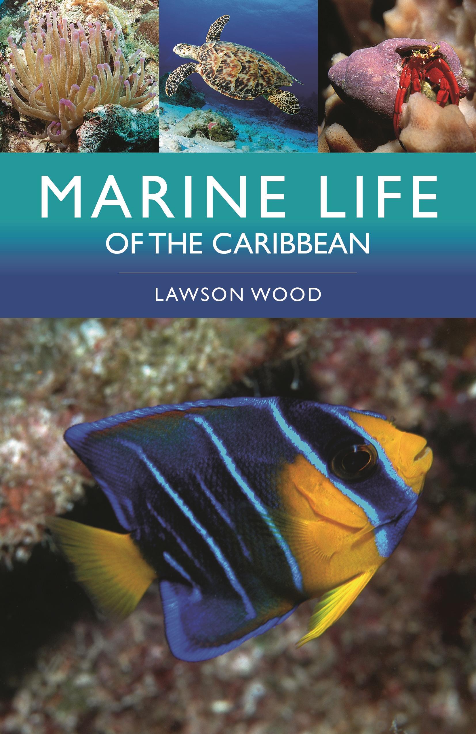 Vorderes Coverbild Marine Life of the Caribbean