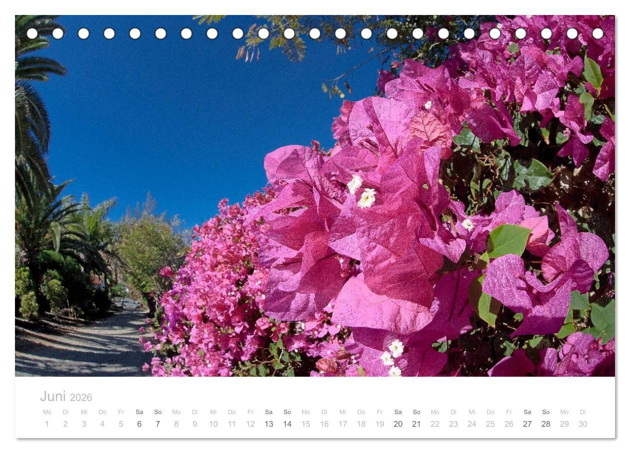 Beispielinhalt (Bild) Sehnsucht nach Fuerteventura (Tischkalender 2026 DIN A5 quer), CALVENDO Monatskalender