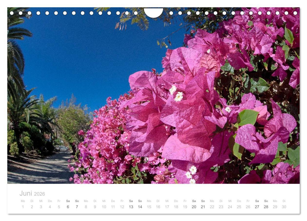 Beispielinhalt (Bild) Sehnsucht nach Fuerteventura (Wandkalender 2026 DIN A4 quer), CALVENDO Monatskalender