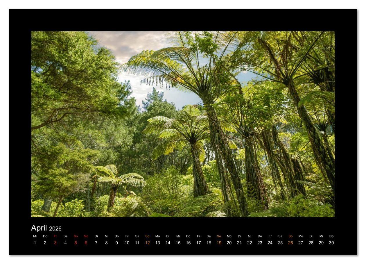 Beispielinhalt (Bild) Neuseeland - Wunderwelt der Natur (Wandkalender 2026 DIN A3 quer), CALVENDO Monatskalender