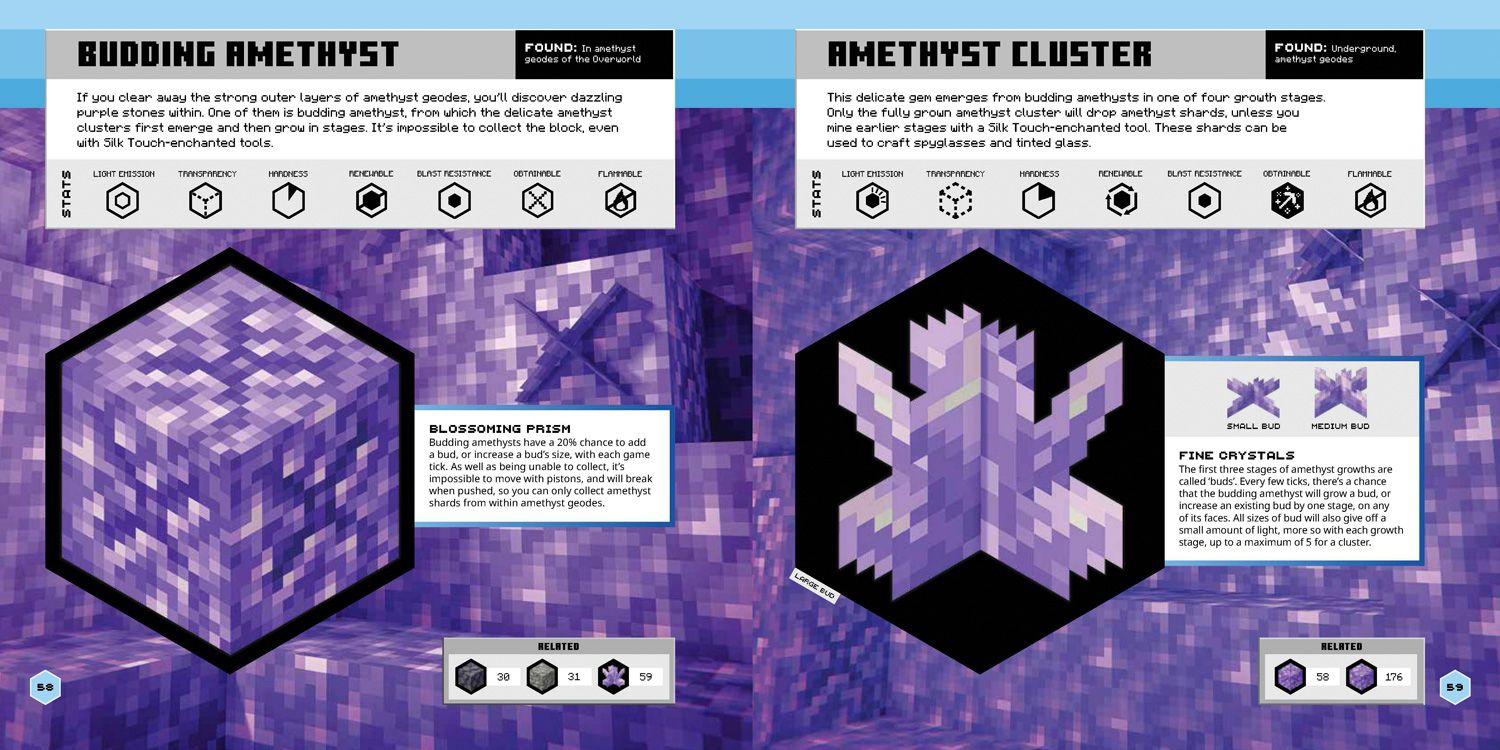 Beispielinhalt (Bild) Minecraft Official Blocks Guide