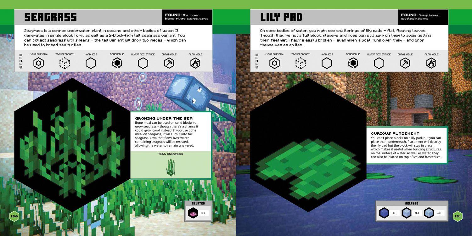 Beispielinhalt (Bild) Minecraft Official Blocks Guide