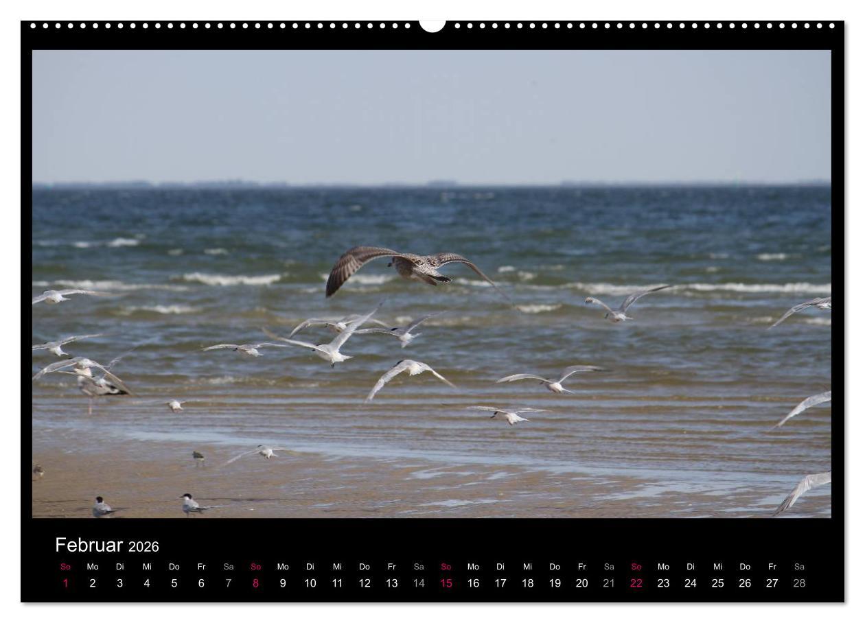 Beispielinhalt (Bild) Texel, eine Perle Hollands (hochwertiger Premium Wandkalender 2026 DIN A2 quer), Kunstdruck in Hochglanz