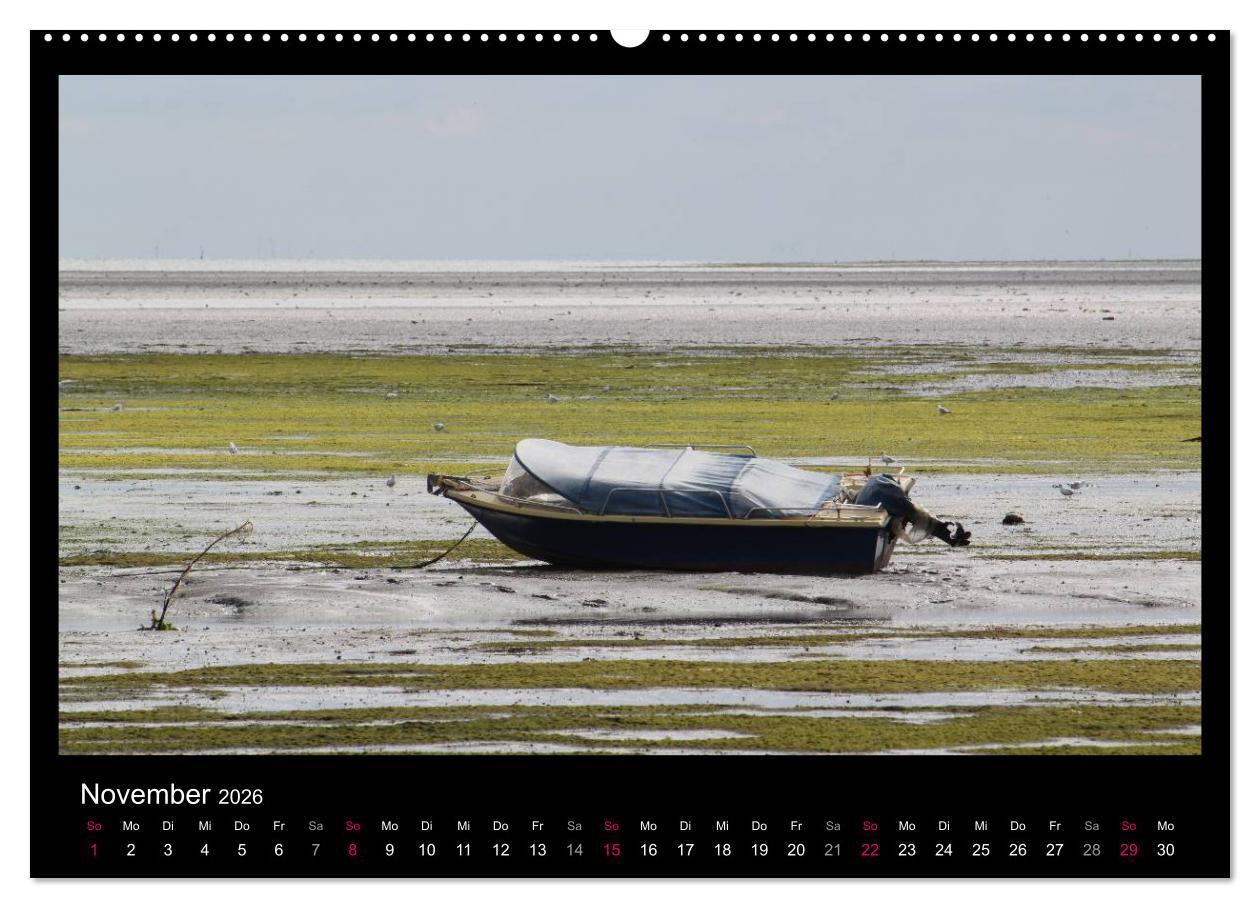 Beispielinhalt (Bild) Texel, eine Perle Hollands (hochwertiger Premium Wandkalender 2026 DIN A2 quer), Kunstdruck in Hochglanz