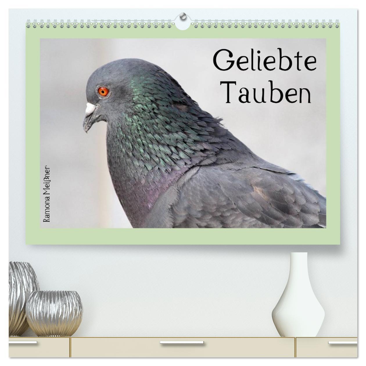 Vorderes Coverbild Geliebte Tauben (hochwertiger Premium Wandkalender 2026 DIN A2 quer), Kunstdruck in Hochglanz