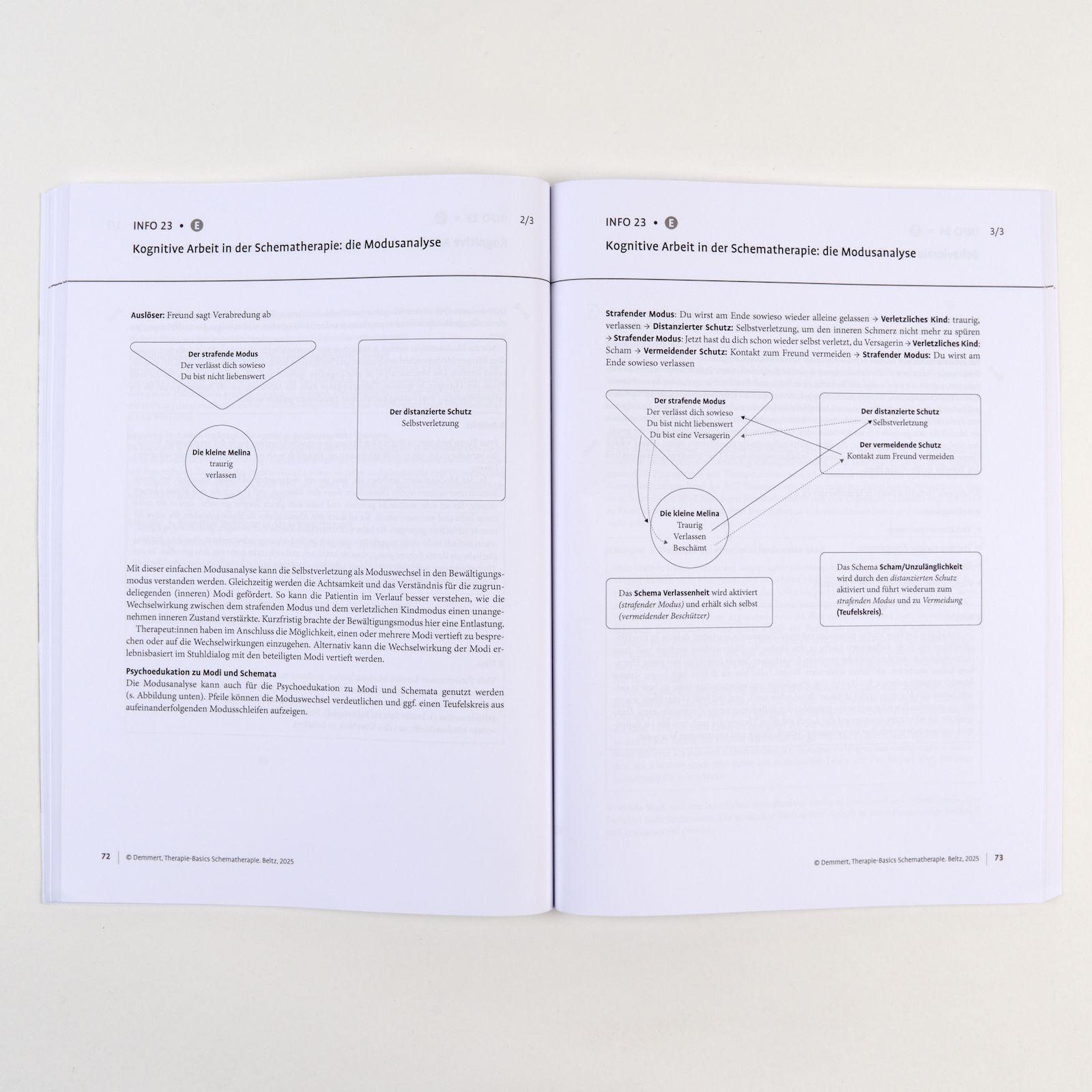 Beispielinhalt (Bild) Therapie-Basics Schematherapie