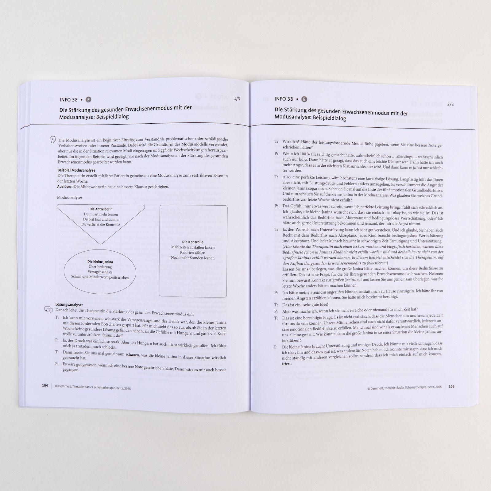 Beispielinhalt (Bild) Therapie-Basics Schematherapie