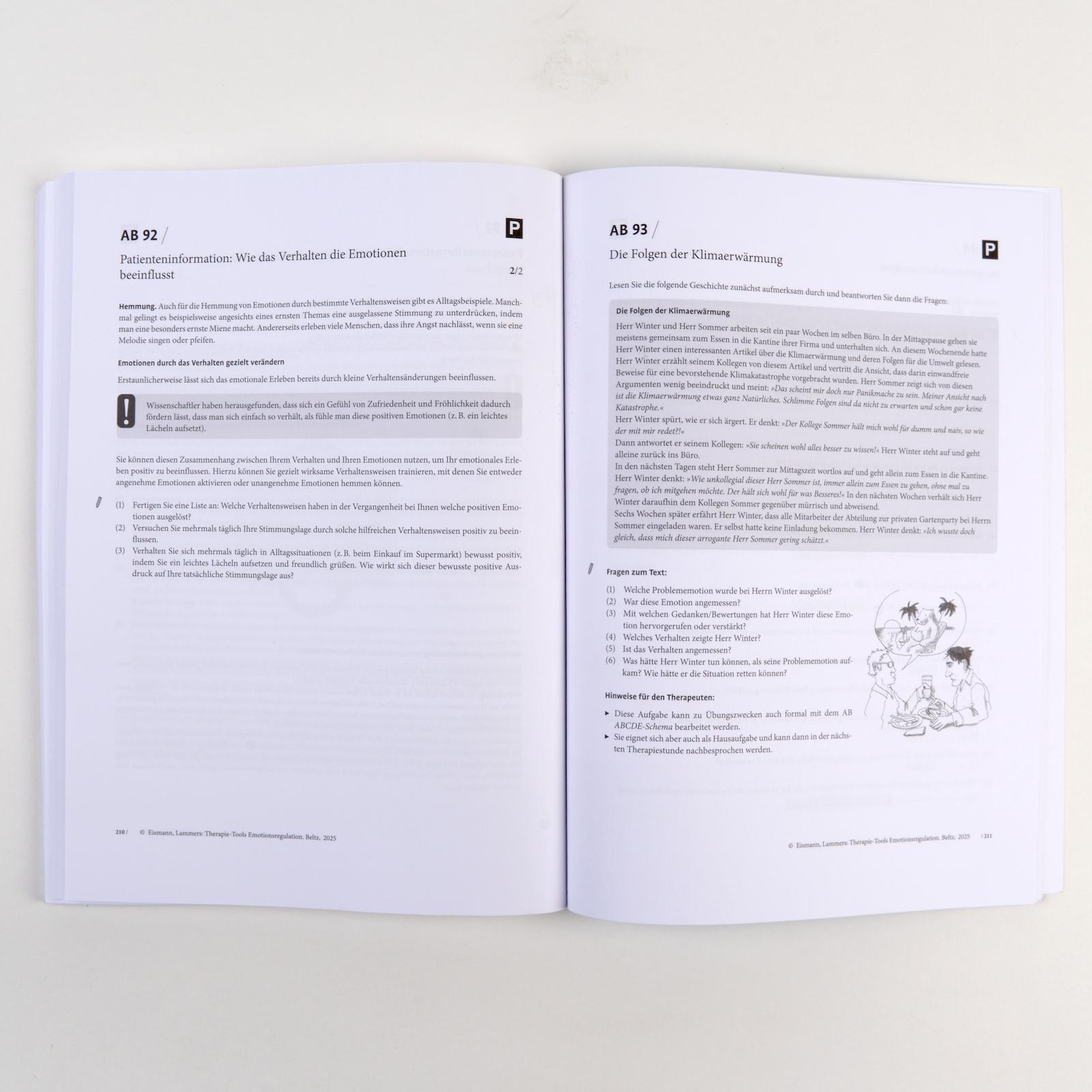 Beispielinhalt (Bild) Therapie-Tools Emotionsregulation