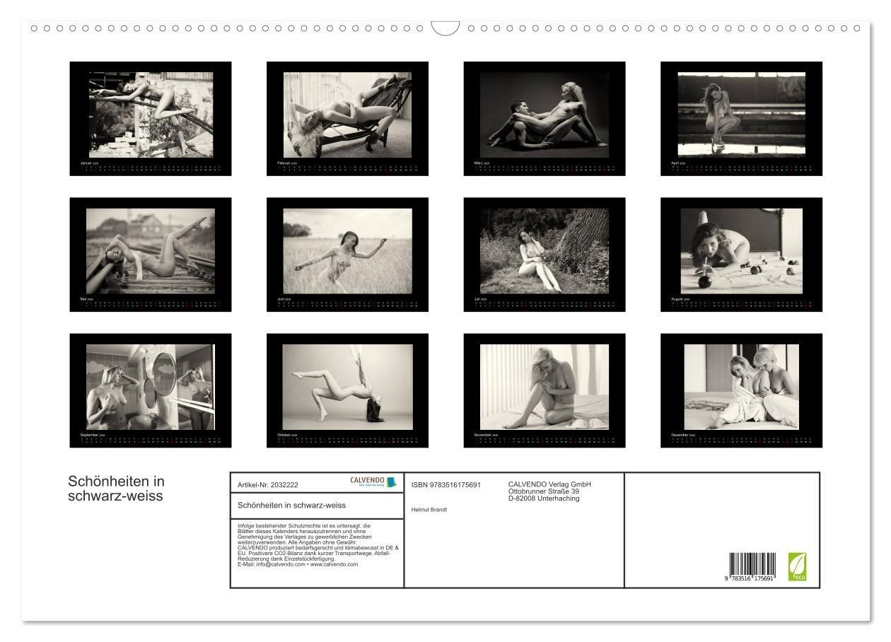 Beispielinhalt (Bild) Schönheiten in schwarz-weiss (Wandkalender 2026 DIN A2 quer), CALVENDO Monatskalender