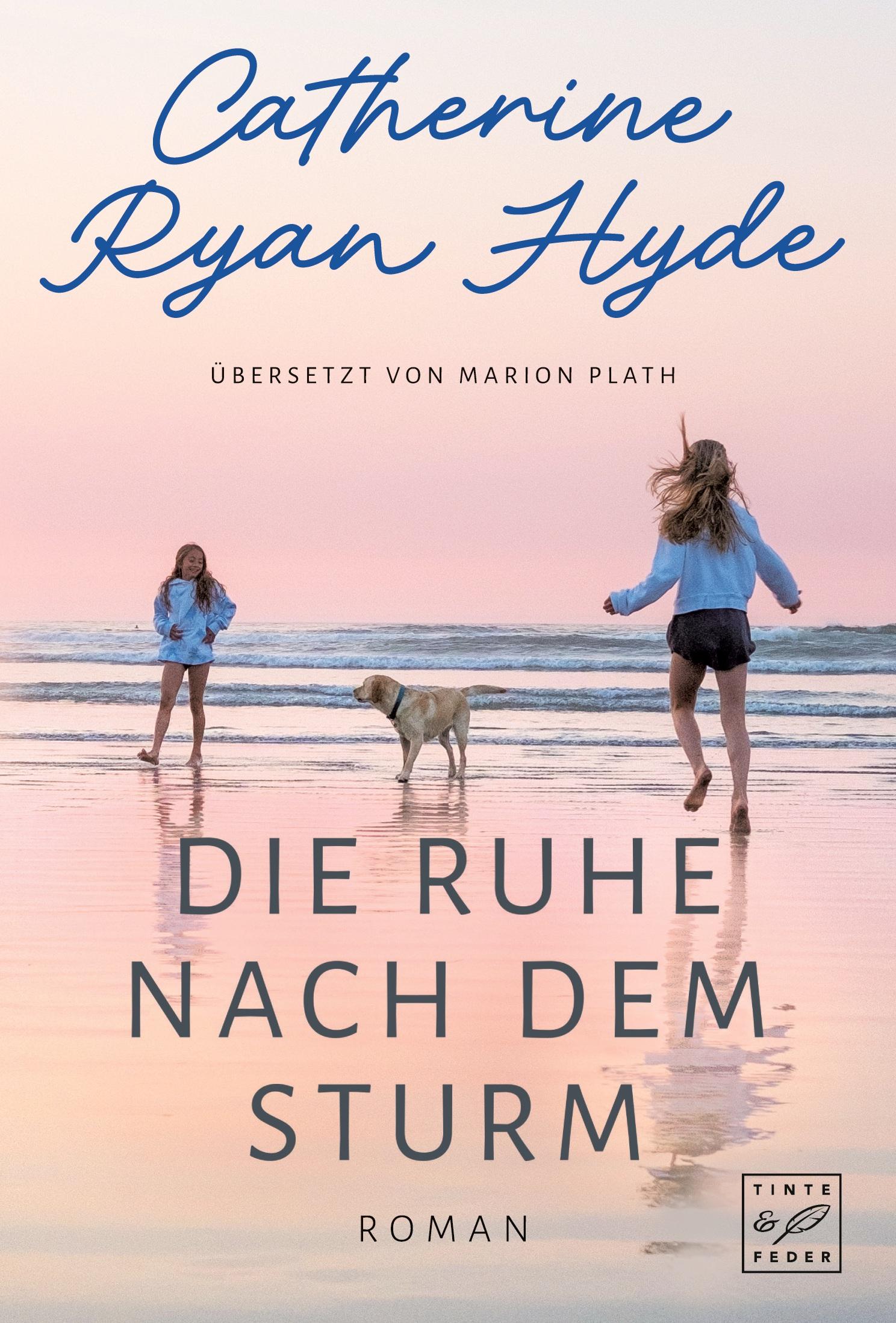 Vorderes Coverbild Die Ruhe nach dem Sturm