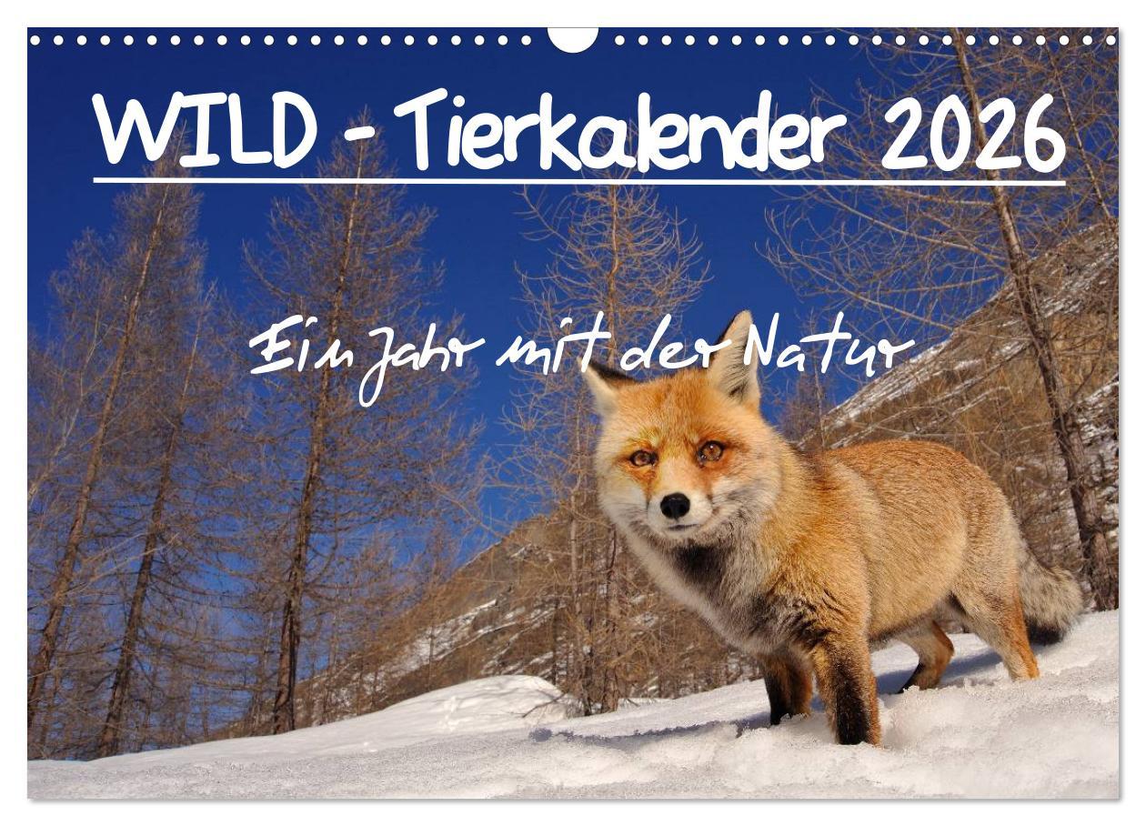 Vorderes Coverbild WILD - Tierkalender 2026 (Wandkalender 2026 DIN A3 quer), CALVENDO Monatskalender