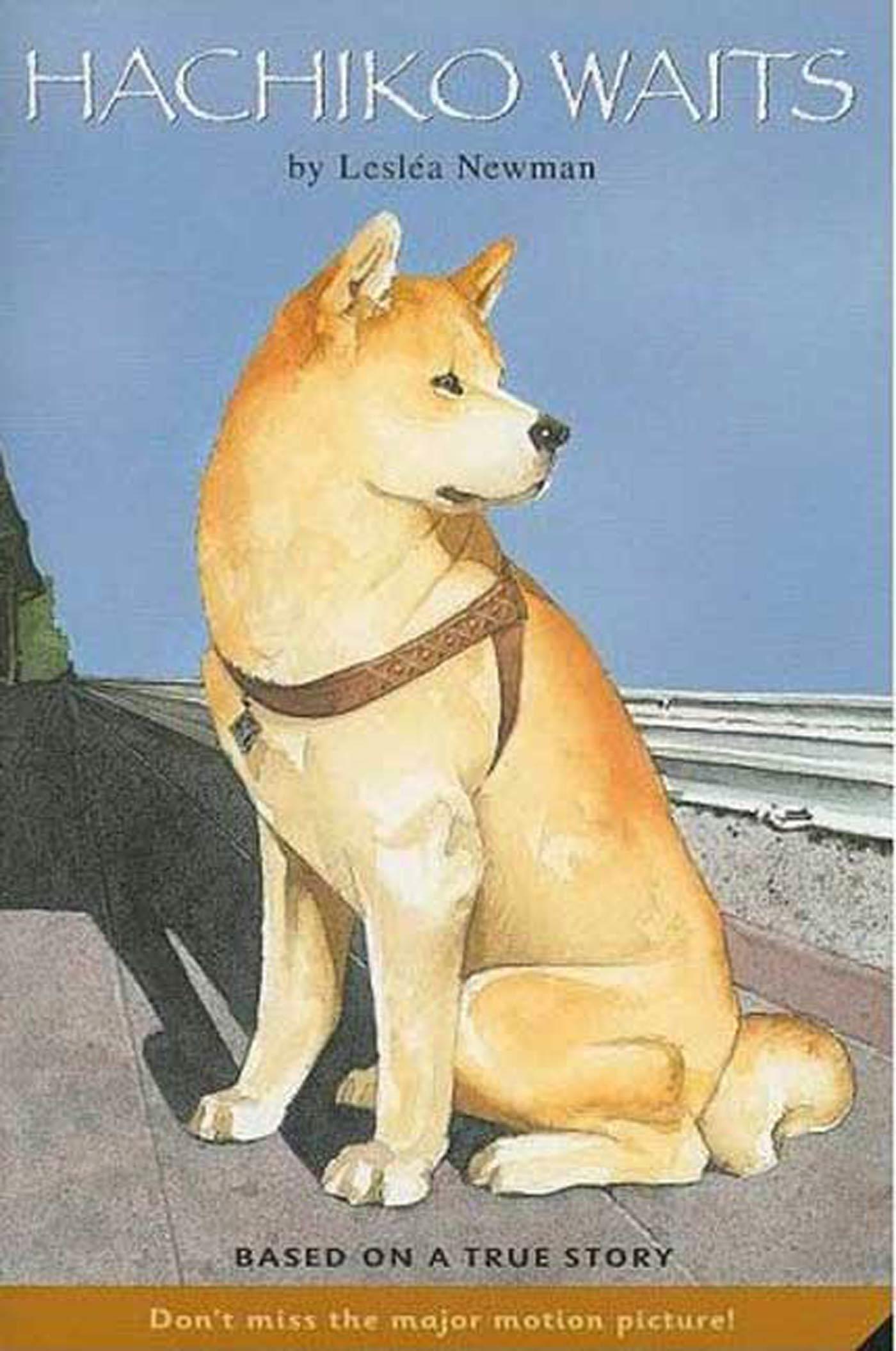 Autorenbild Hachiko Waits