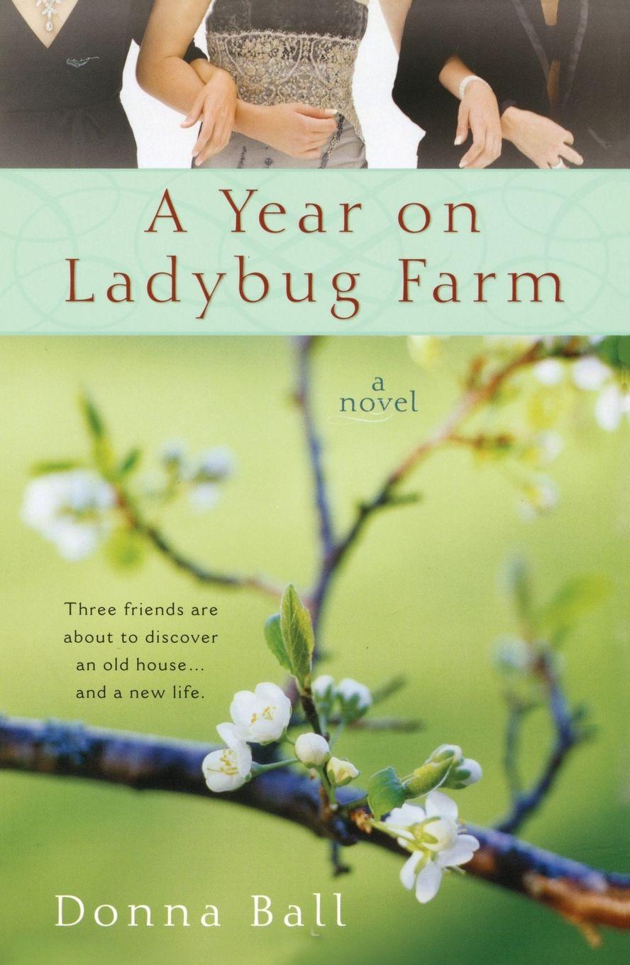 Vorderes Coverbild A Year on Ladybug Farm