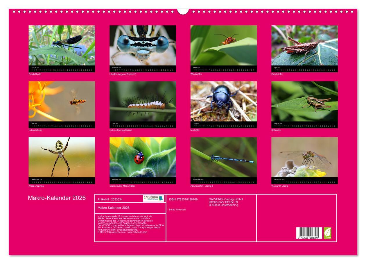 Beispielinhalt (Bild) Makro-Kalender 2026 (Wandkalender 2026 DIN A2 quer), CALVENDO Monatskalender