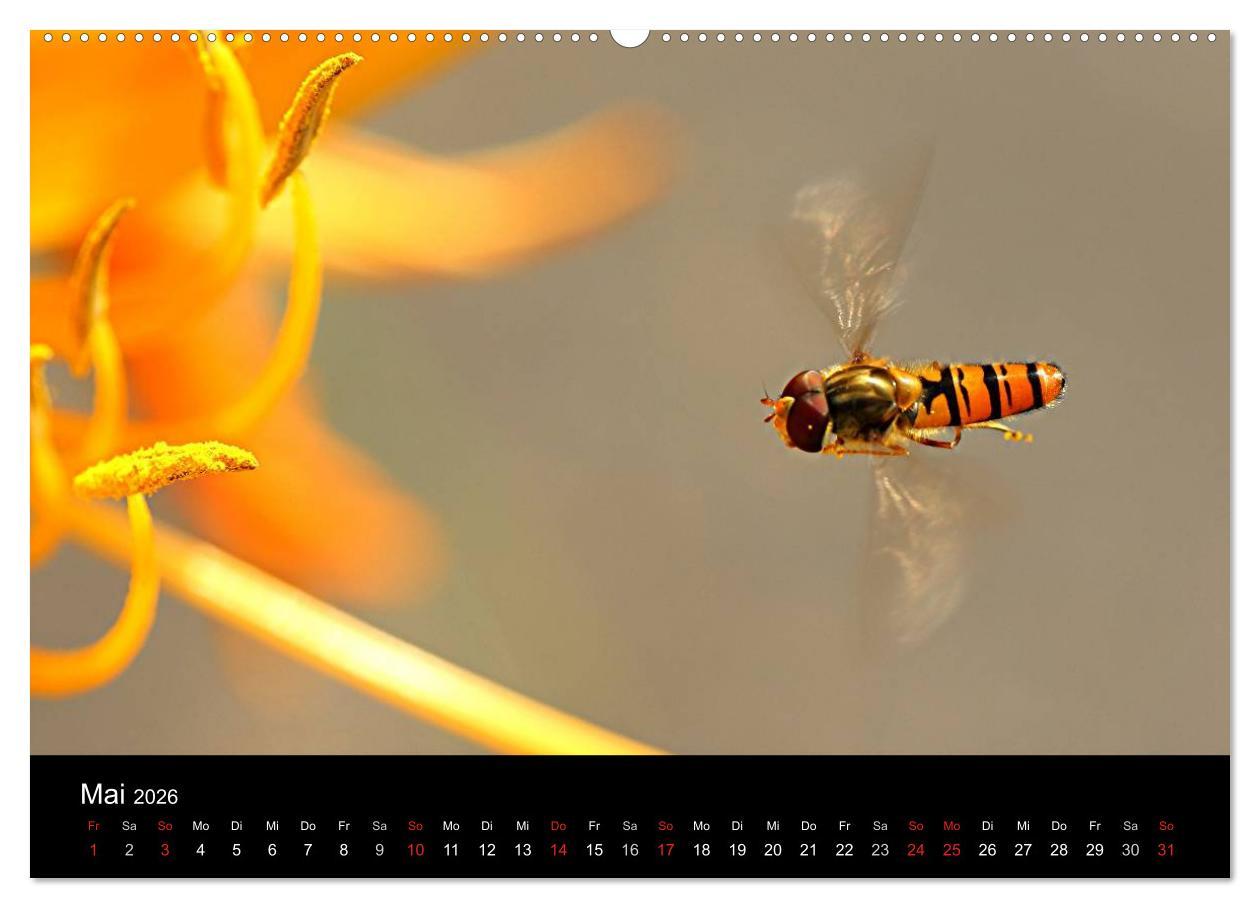 Beispielinhalt (Bild) Makro-Kalender 2026 (Wandkalender 2026 DIN A2 quer), CALVENDO Monatskalender