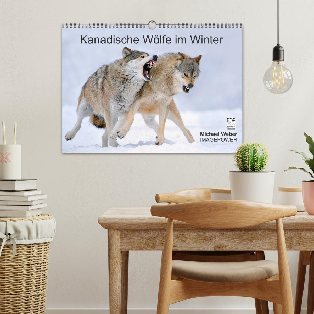 Beispielinhalt (Bild) Kanadische Wölfe im Winter (Wandkalender 2026 DIN A3 quer), CALVENDO Monatskalender