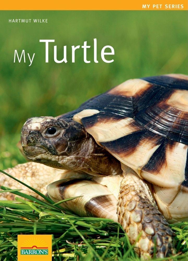 Vorderes Coverbild My Turtle