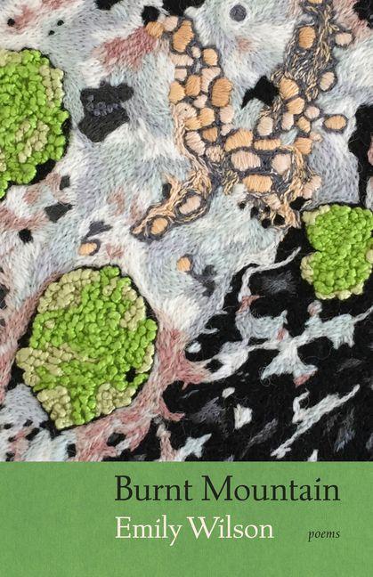 Vorderes Coverbild Burnt Mountain