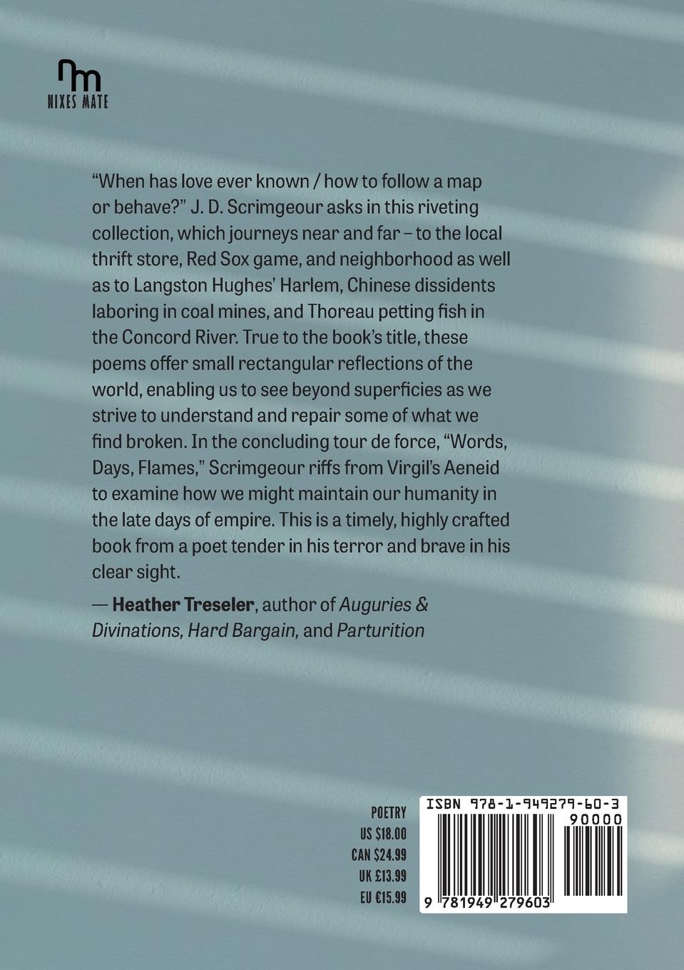 Rückseitencover Small, Rectangular,  Reflected World