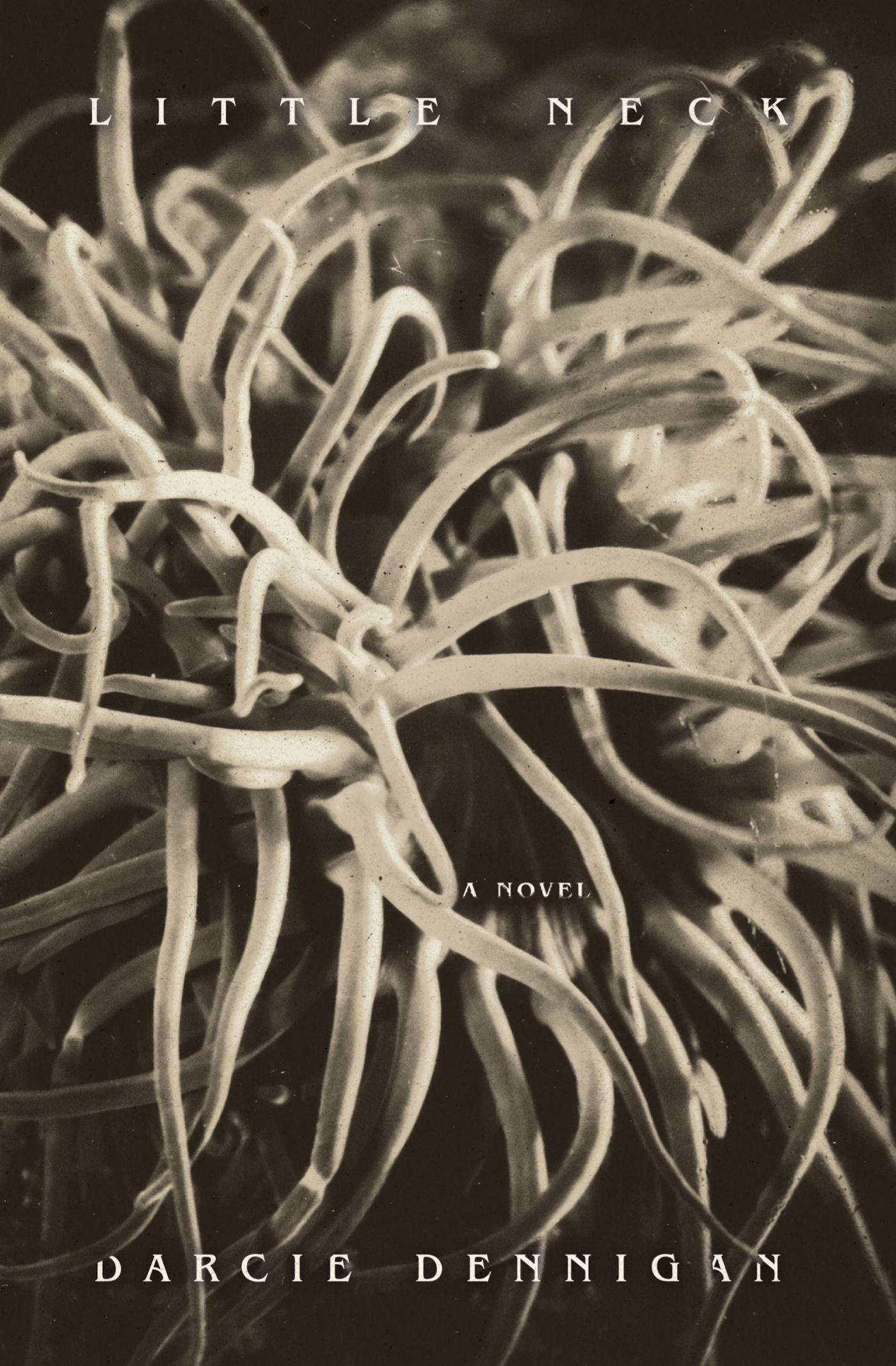 Vorderes Coverbild Little Neck