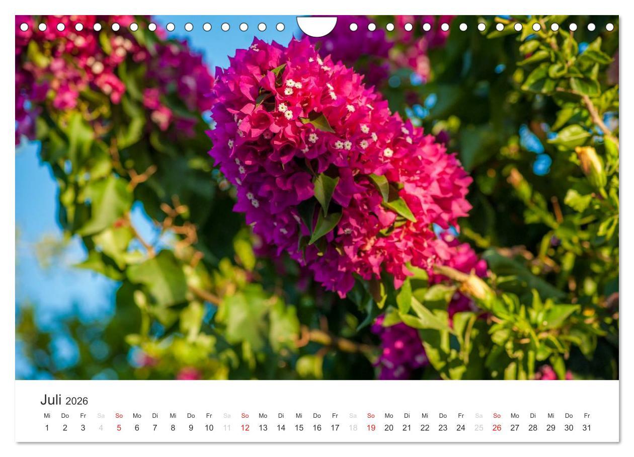 Beispielinhalt (Bild) Kreta. Im Süden (Wandkalender 2026 DIN A4 quer), CALVENDO Monatskalender