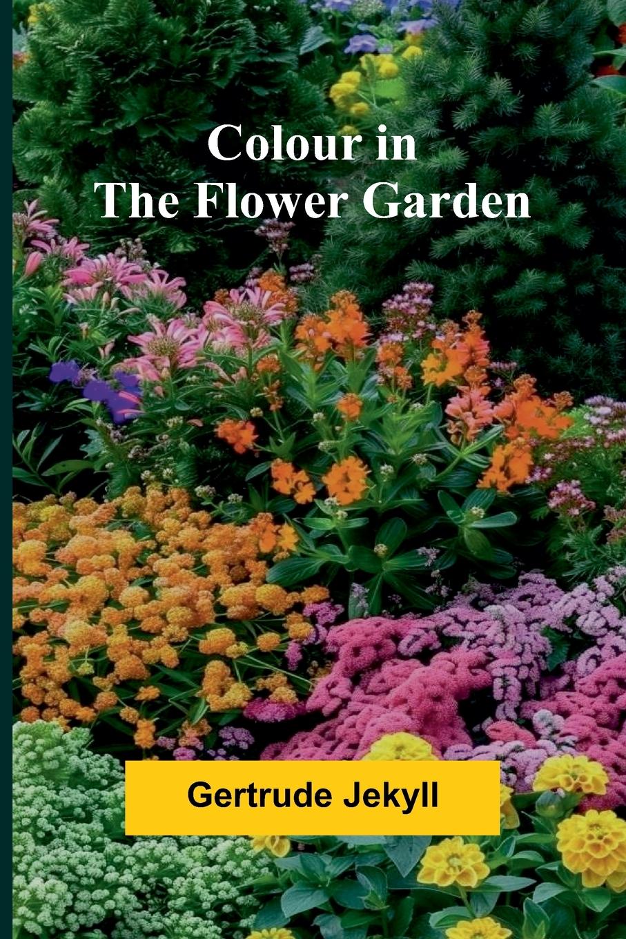 Vorderes Coverbild Colour In The Flower Garden