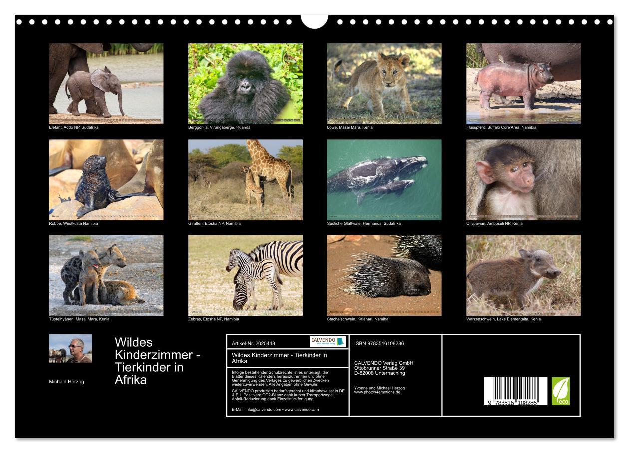 Beispielinhalt (Bild) Wildes Kinderzimmer - Tierkinder in Afrika (Wandkalender 2026 DIN A3 quer), CALVENDO Monatskalender