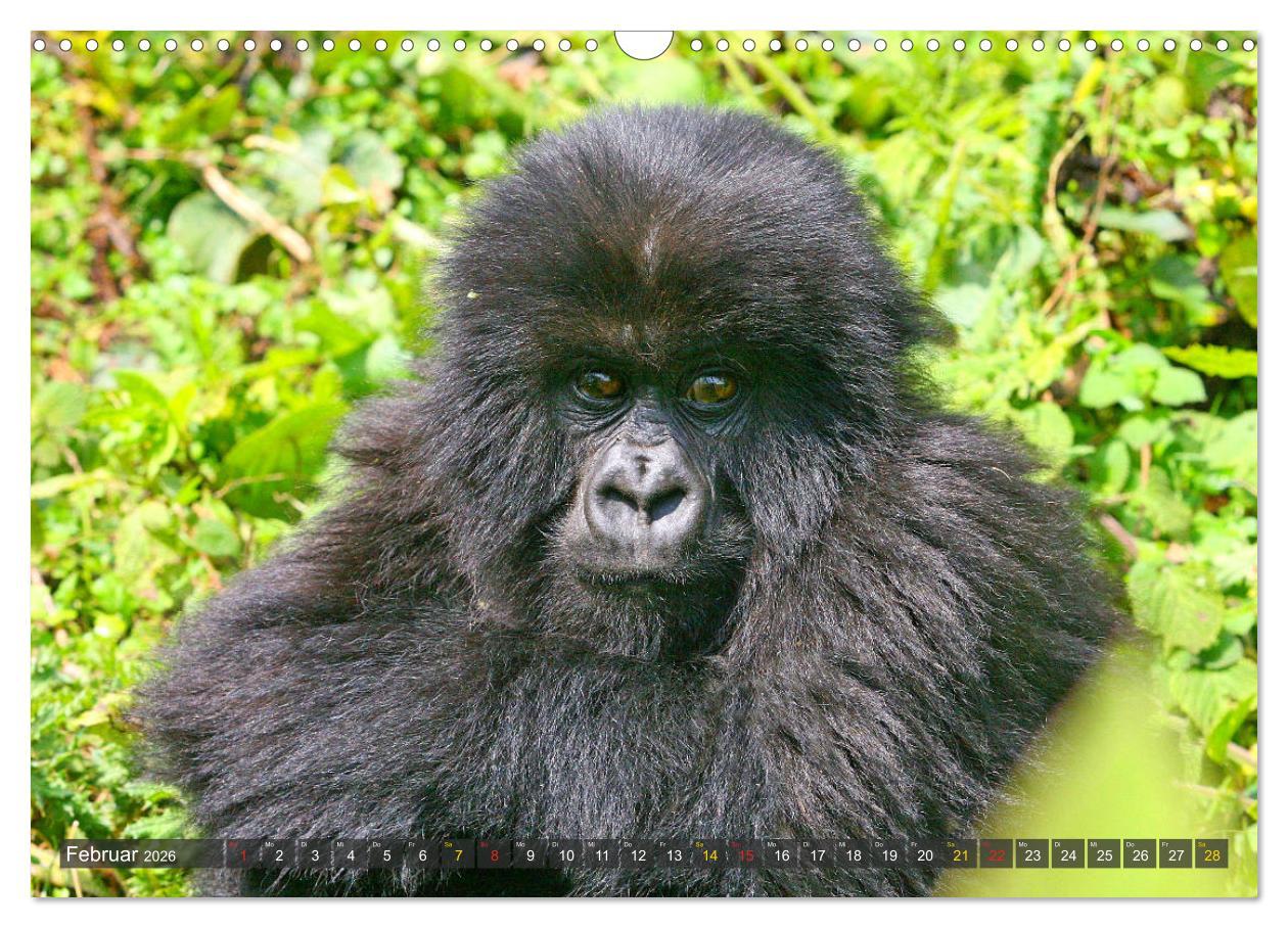 Beispielinhalt (Bild) Wildes Kinderzimmer - Tierkinder in Afrika (Wandkalender 2026 DIN A3 quer), CALVENDO Monatskalender