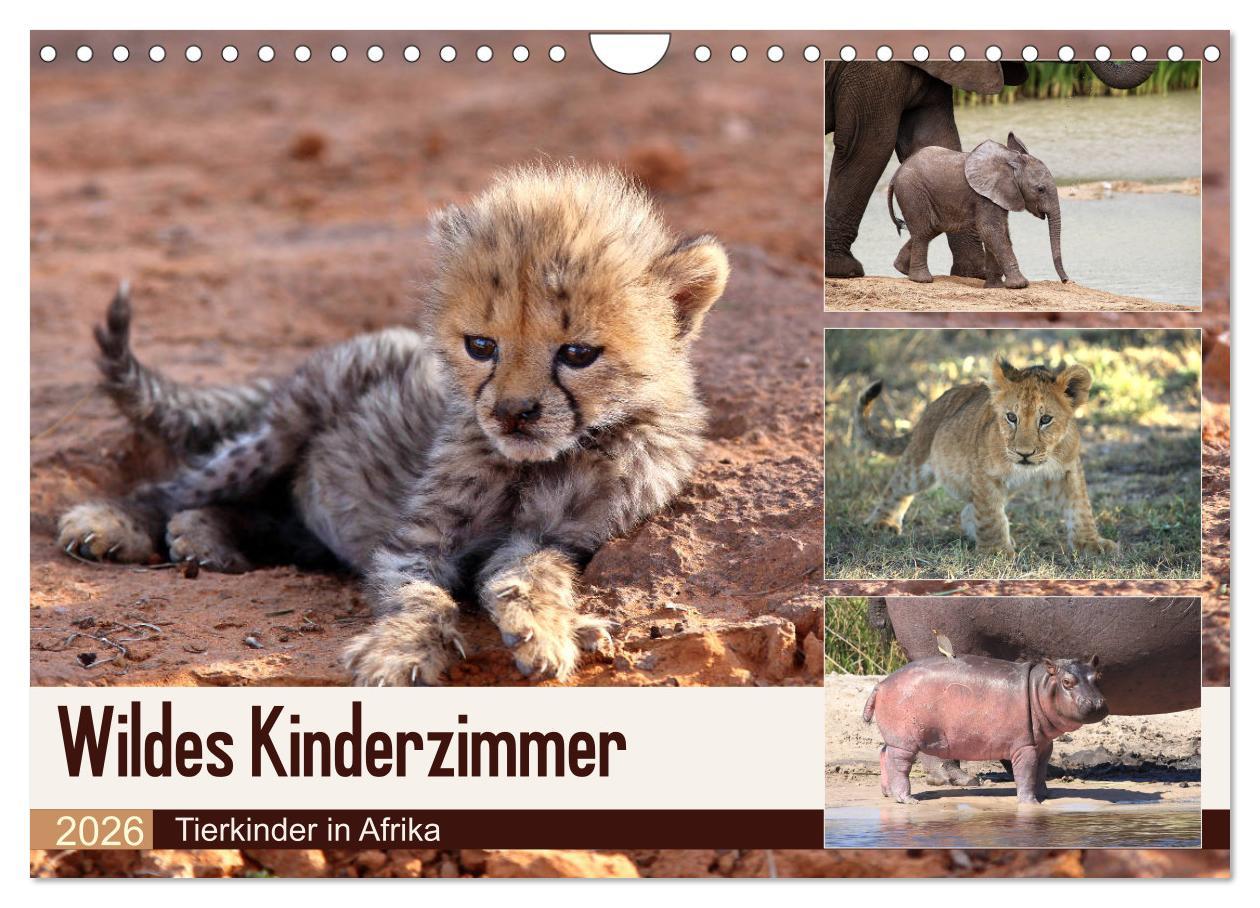 Vorderes Coverbild Wildes Kinderzimmer - Tierkinder in Afrika (Wandkalender 2026 DIN A4 quer), CALVENDO Monatskalender