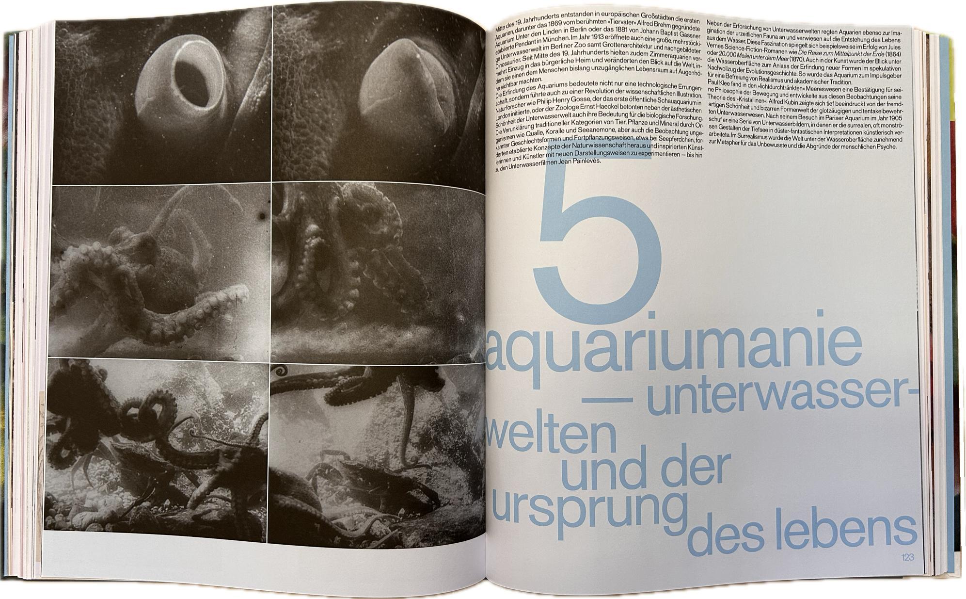 Beispielinhalt (Bild) Die Moderne im Zoo