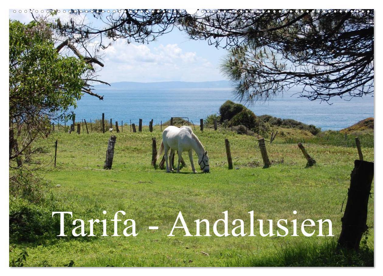 Vorderes Coverbild Tarifa - Andalusien (Wandkalender 2026 DIN A2 quer), CALVENDO Monatskalender